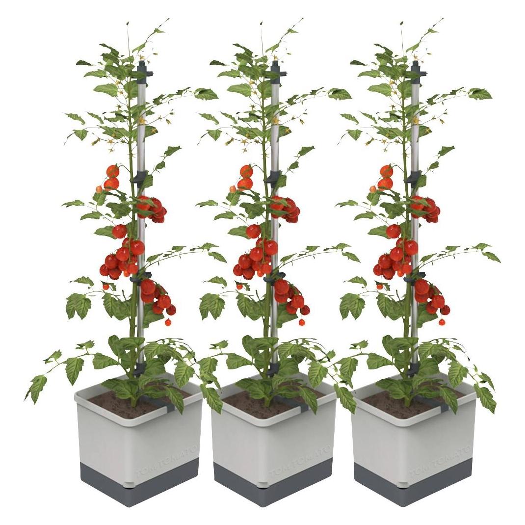 Gusta Garden TOM TOMATO 3er-Set, hellgrau / W07073 Pflanzgefäss (TOM TOMATO 3er-Set, hellgrau / W07073)