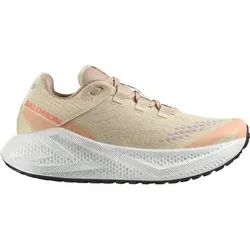 SALOMON Damen Laufschuhe SHOES AERO GLIDE 3 GRVL W Shobre/Wht/Fuc, Größe 40 2⁄3 in Silber Silber