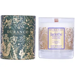 Wilde Hyazinthe Duftkerze 280g