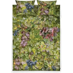 Hayka Bettwäsche 240 x 220 cm Weingarten doppelt mit 2 Kopfkissenbezügen 70 x 80 cm