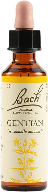 Schwabe Pharma Italia Gentian Bach Original 20 Ml