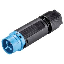 Wieland Electric 46.032.4553.9 Steckverbinder