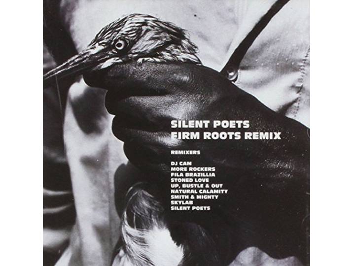 Firm Roots Remix