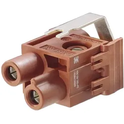 Weidmüller Steckverbinder-Modul HDC CM 1FS +PE