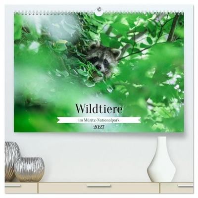 Wildtiere im Müritz-Nationalpark (hochwertiger Premium Wandkalender 2027 DIN A2 quer), Kunstdruck in Hochglanz