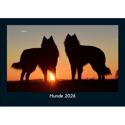 Hunde 2026 Fotokalender DIN A5