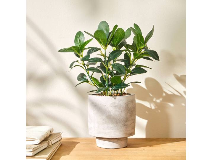 Plante artificielle en pot - Blancheporte