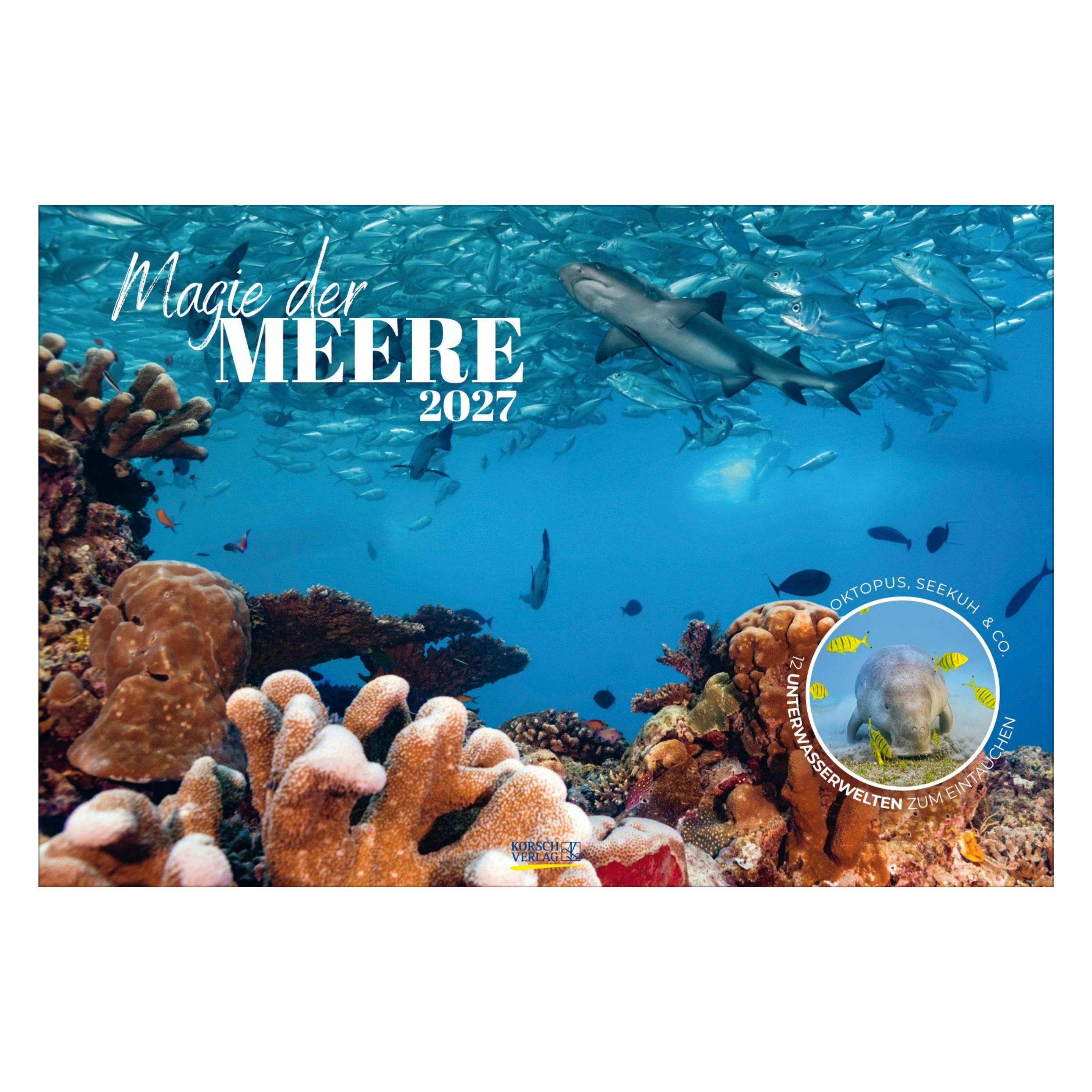 Korsch Magie der Meere 2027 (68958584)