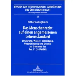 Das Menschenrecht auf einen angemessenen Lebensstandard, Fachbücher von Katharina Engbruch