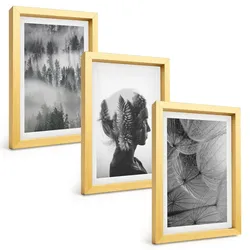 BILDER SET 3er Set - 20x30 cm Goldrahmen - Waldnebelporträt Baum Löwenzahn