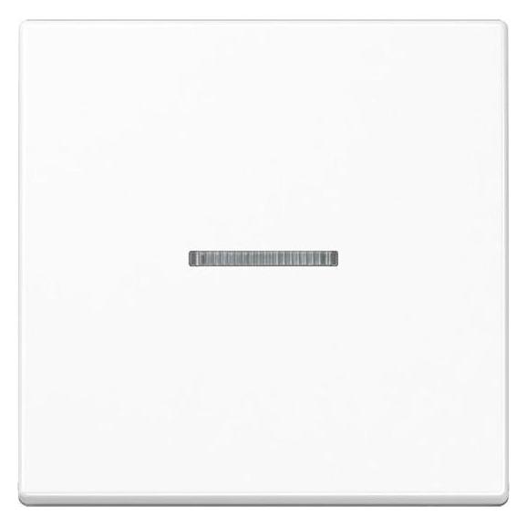 JUNG Kontrollwippe Schalter A aws glz A101KO5BFWW (A101KO5BFWW)