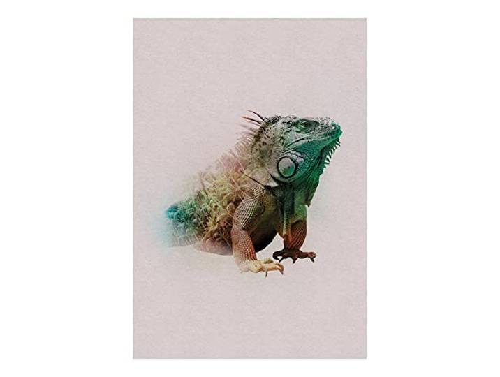 Komar Animals Paradise Iguana – Taille : 50 x 70 cm Image murale (sans cadre) – Pure Boutique