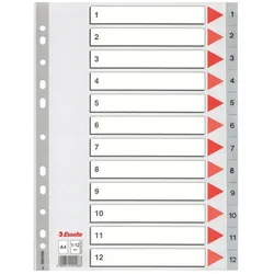 Esselte, Ordner Zubehör, Plastic indexes, 225 mm, 297 mm