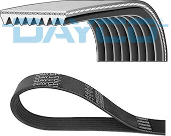 Dayco Keilrippenriemen 8pk1668hd Für Ford Mercedes