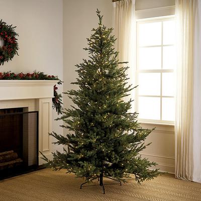 Prelit Norway Spruce Tree - 9 FT - Ballard Designs