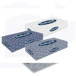 All Care BulkySoft Kosmetiktücher - Zellstoff - 2-lagig - 21 x 21 cm - 4000 Tücher