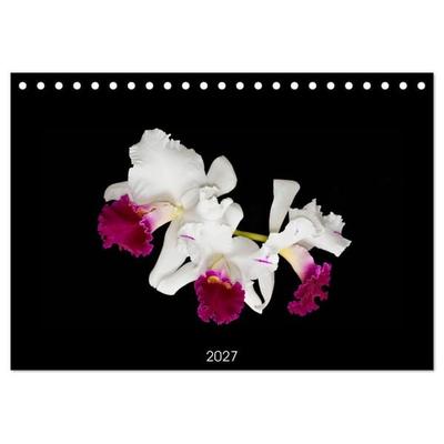 Leuchtende Cattleyen (Tischkalender 2027 DIN A5 quer), CALVENDO Monatskalender