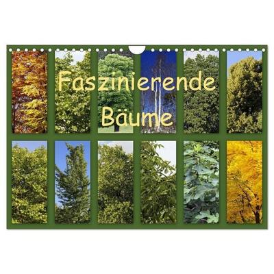 Faszinierende Bäume (Wandkalender 2027 DIN A4 quer), CALVENDO Monatskalender
