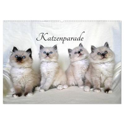 Katzenparade (Wandkalender 2026 DIN A2 quer), CALVENDO Monatskalender