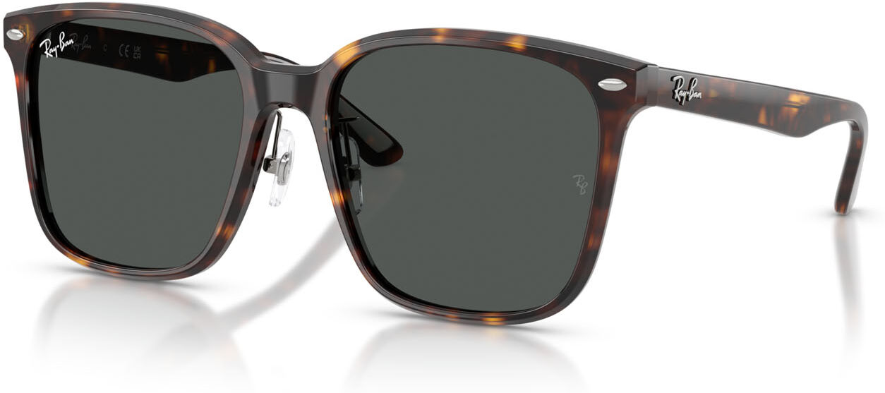 Ray-Ban 2206D (710/87)