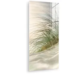 ACRYLGLASBILD Dünen mit Strandhafer in der Sonne des Nationalparks Schleswig-Holsteinisches Wattenmeer 60x120 cm