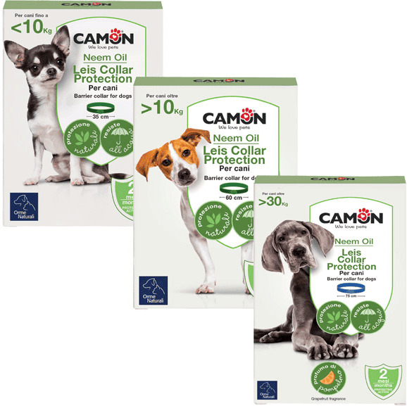 Camon Protection Collare Leis Cane 35 Small G914/A