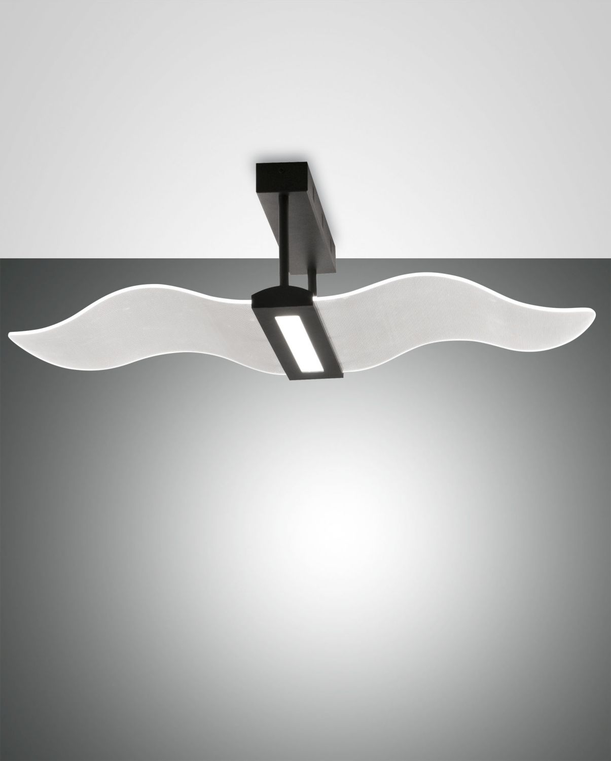 Fabas Luce LED-Deckenleuchte FENICE schwarz 3674-65-101 8019282533030