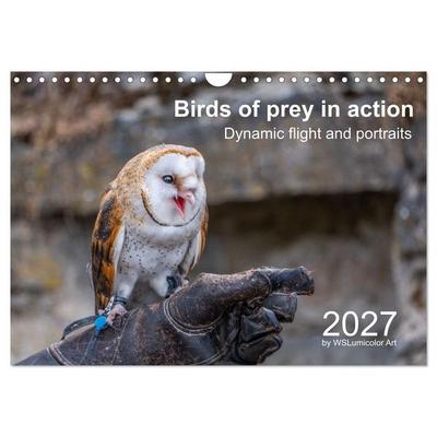 Birds of Prey in Action - Dynamic Flight and Portraits (Wall Calendar 2027 DIN A4 landscape), CALVENDO 12 Month Wall Calendar