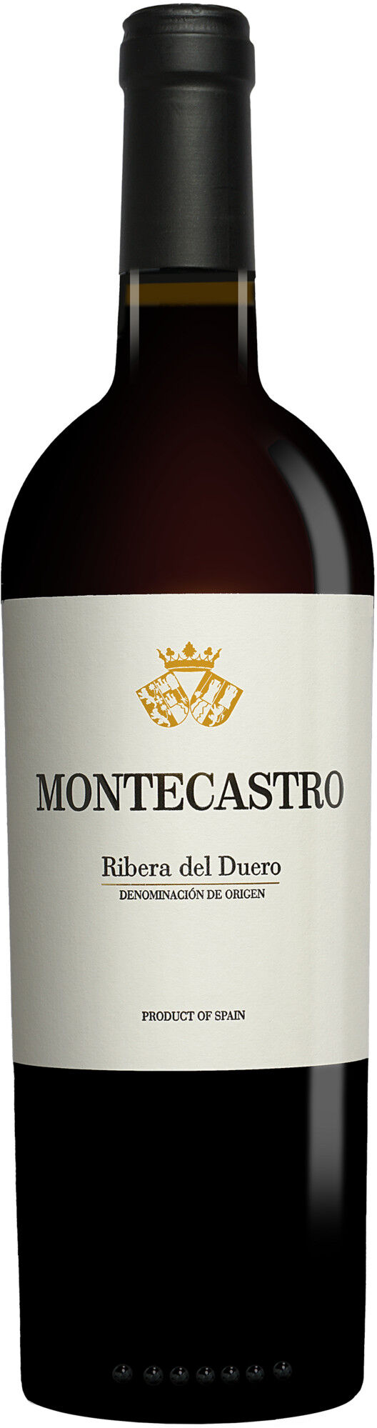 Bodegas y Viñedos Montecastro Montecastro 2022 14.5% Vol. Rotwein Trocken aus Spanien
