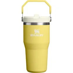 Iceflow 2.0 Thermobecher mit Griff und Strohhalm, Daffodil, 590 ml