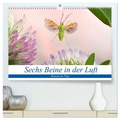 Sechs Beine in der Luft - Wanzen im Flug (hochwertiger Premium Wandkalender 2026 DIN A2 quer), Kunstdruck in Hochglanz