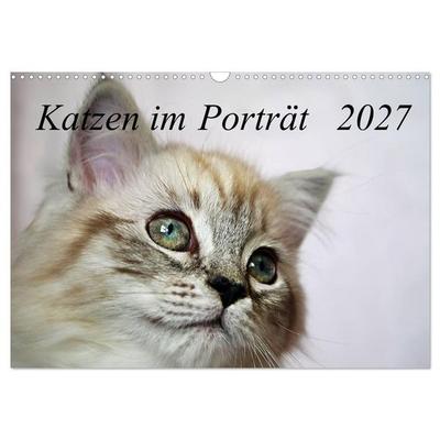 Katzen im Porträt / Geburtstagskalender (Wandkalender 2027 DIN A3 quer), CALVENDO Monatskalender