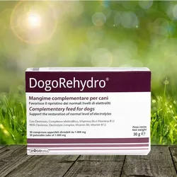 DogoRehydro Elektrolyt-Tabs  30 Stück - unterstützt bei großer Hitze den Elektrolyte-Haushalt