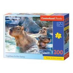 Castorland Rätsel 200: Wasserschweine in der heissen Quelle (78545278)