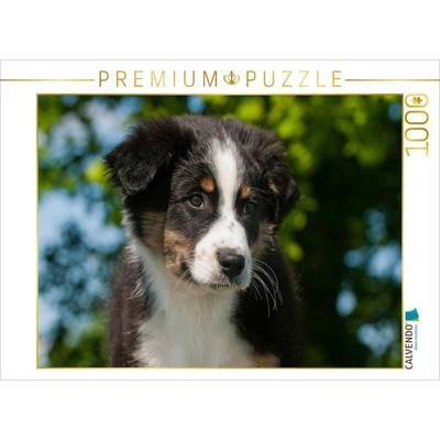 CALVENDO Puzzle Ein Motiv aus dem Kalender Bekannt wie ein bunter Hund. Australian Shepherd - Familienplaner hoch | 1000 Teile Lege-Größe 64x48cm Foto