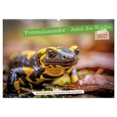 Feuersalamander – Juwel des Waldes (Wandkalender 2027 DIN A2 quer), CALVENDO Monatskalender