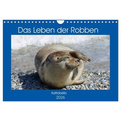 Das Leben der Robben (Wandkalender 2026 DIN A4 quer), CALVENDO Monatskalender