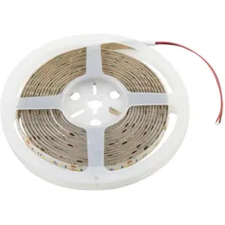 EUROLITE LED IP Strip 600 5m 2835 4000K 24V