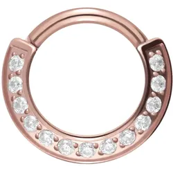Titan Segmentring Clicker 13 KRISTALLE