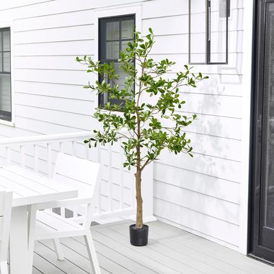 Regency International 6' UV Potted Almond Tree