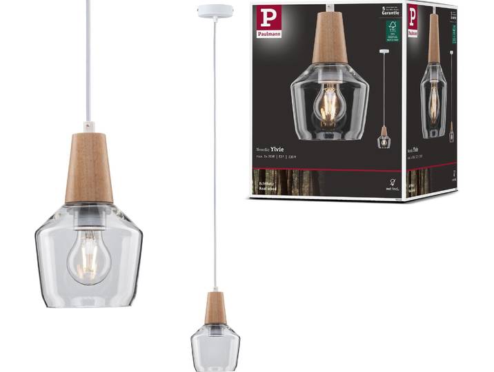 Paulmann Neordic Lampe à suspendre Ylvie