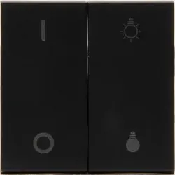 Kopp 862115900 Blue-control - HK07 Flächendoppelwippe, mit Bedruckung für Dimmsteuerung, passend für den Hybrid-Smart-Switch, Farbe: anthrazit