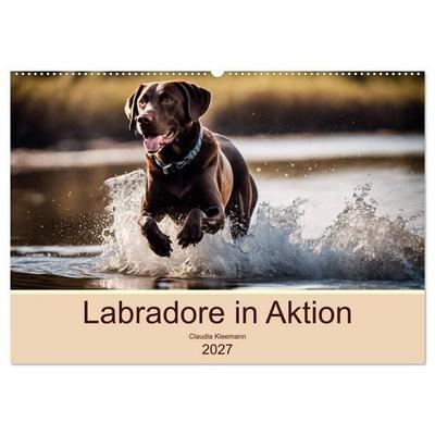 Labradore in Aktion (Wandkalender 2027 DIN A2 quer), CALVENDO Monatskalender