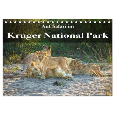 Auf Safari im Kruger National Park (Tischkalender 2026 DIN A5 quer), CALVENDO Monatskalender