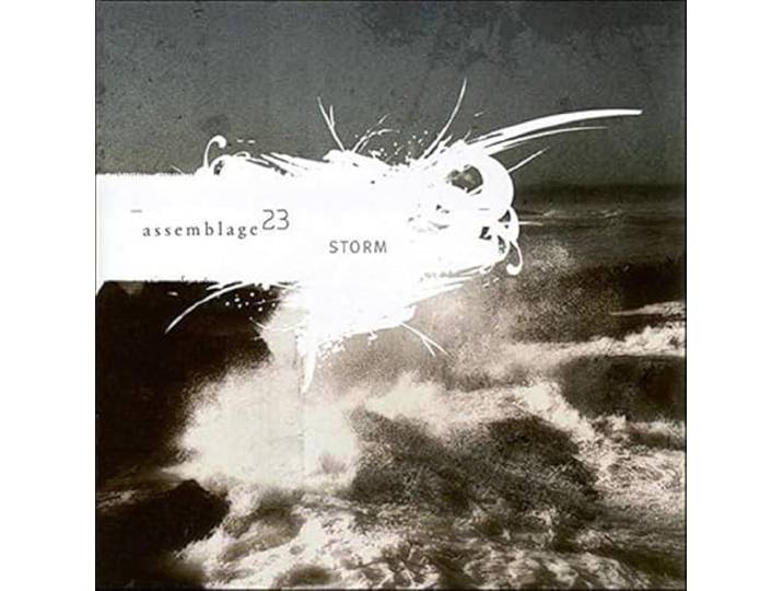 Assemblage 23 - Storm