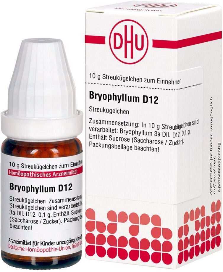 DHU Bryophyllum D12 Globuli 10g