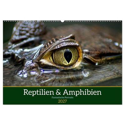 Reptilien & Amphibien Portraits (Wandkalender 2027 DIN A2 quer), CALVENDO Monatskalender