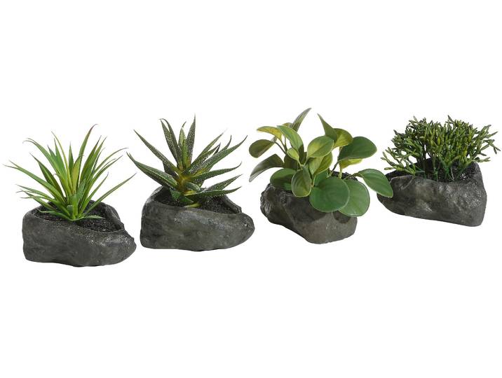 Kunstpflanze OTTO HOME Sukkulenten , grün, B:13cm H:12cm T:13cm, Kunststoff, Kunstpflanzen, Kunstpflanze, 4er Set