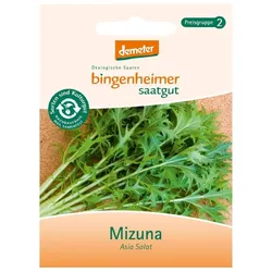 Asia Salat - Mizuna