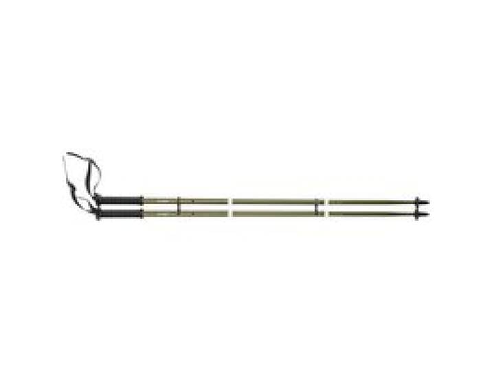 CRIVIT Lot de 2 bâtons de trekking (Or)